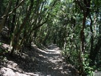 2026-06-28 Da Sirolo ai Camaldolesi 090